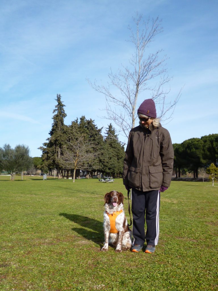 Chien qui reste assis