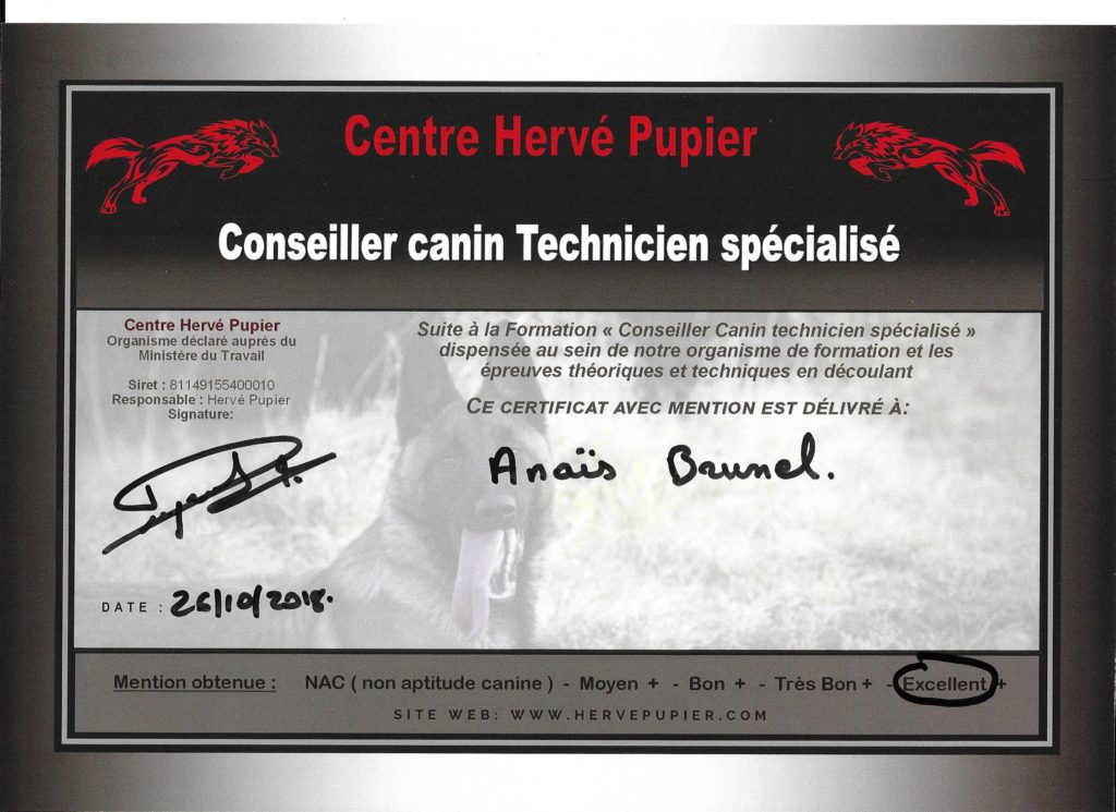 Certificat Hervé Pupier délivré à Anaïs